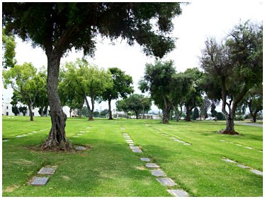 Click to enlarge photograph