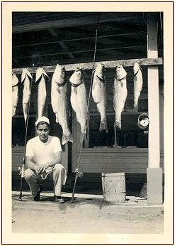 Click to enlarge photograph